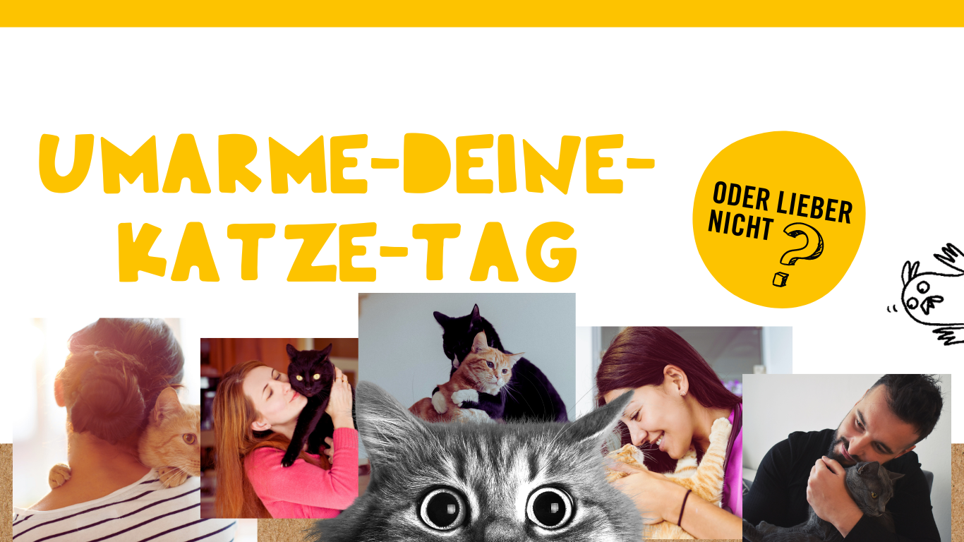 Collage von Bildern auf denen Katzen von Menschen umarmt werden