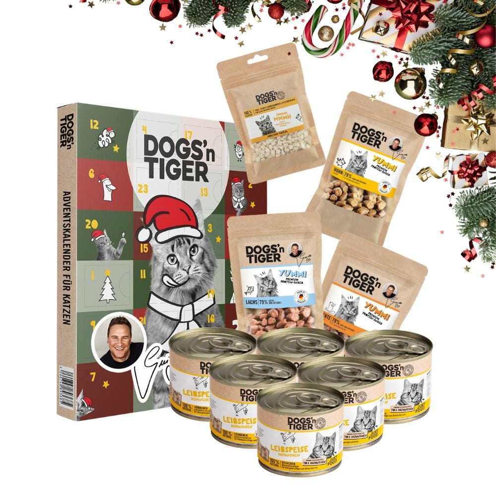 Mono Weihnachtsbox für Katzen