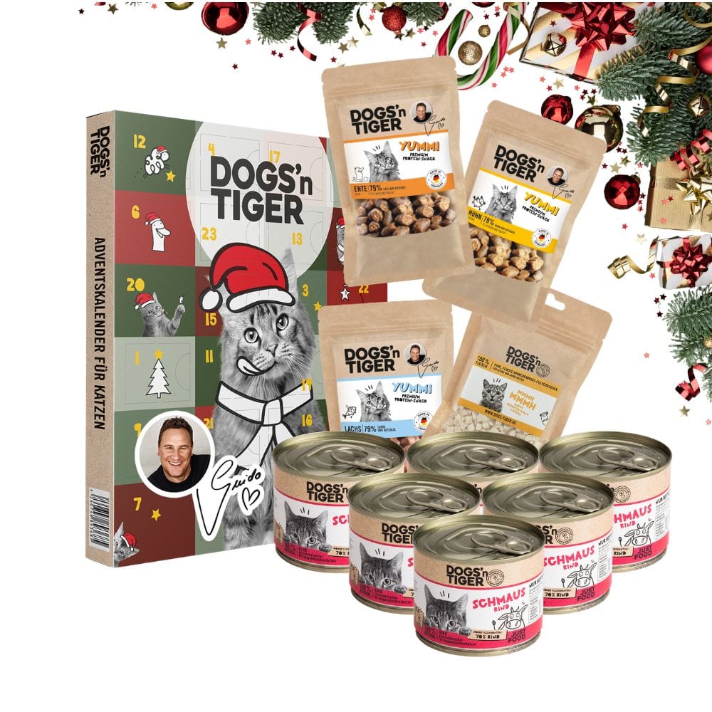 Mono Weihnachtsbox für Katzen