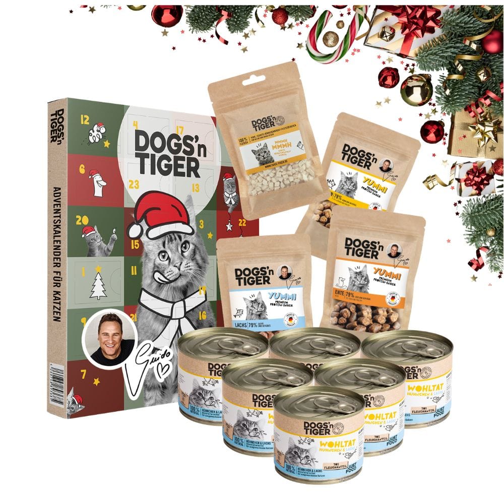 Mono Weihnachtsbox für Katzen