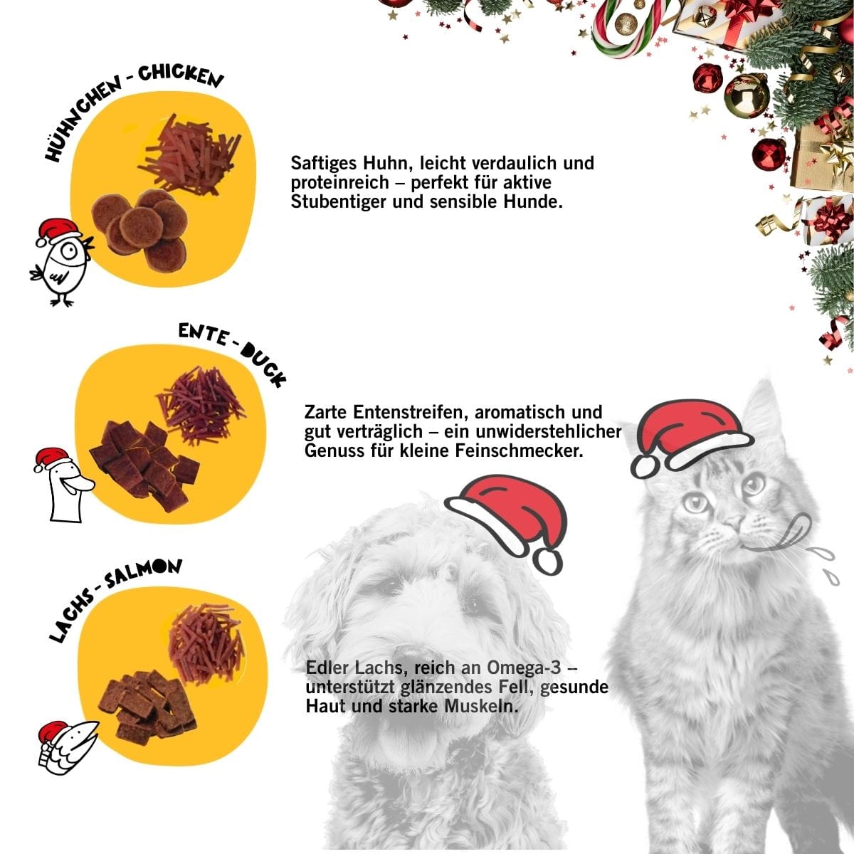 Adventskalender für Hunde & Katzen
