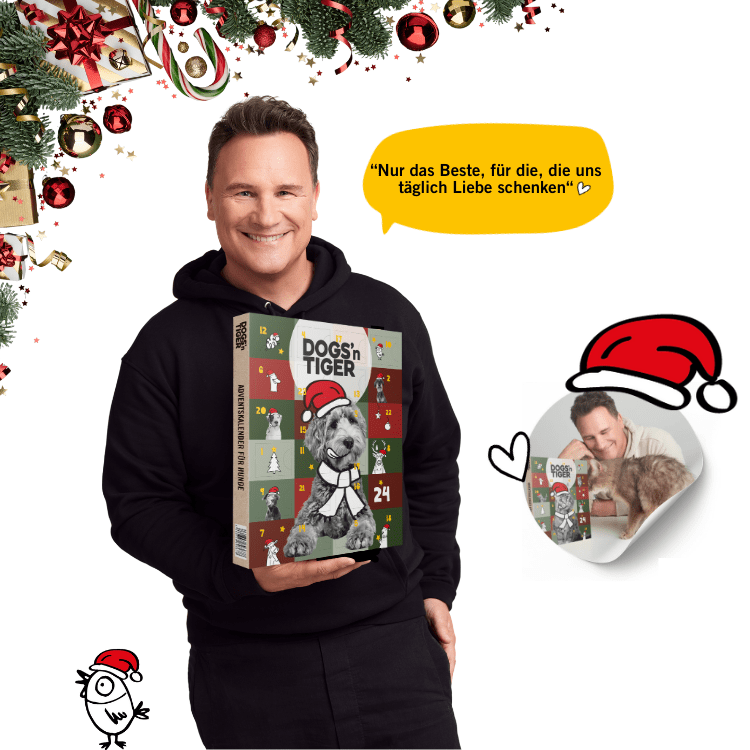 Dogs & Tiger - Adventskalender 2025