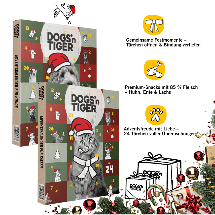 Dogs & Tiger - Adventskalender 2025