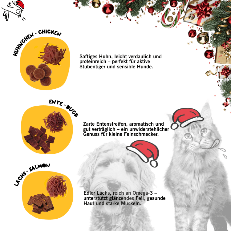 Dogs & Tiger - Adventskalender 2025
