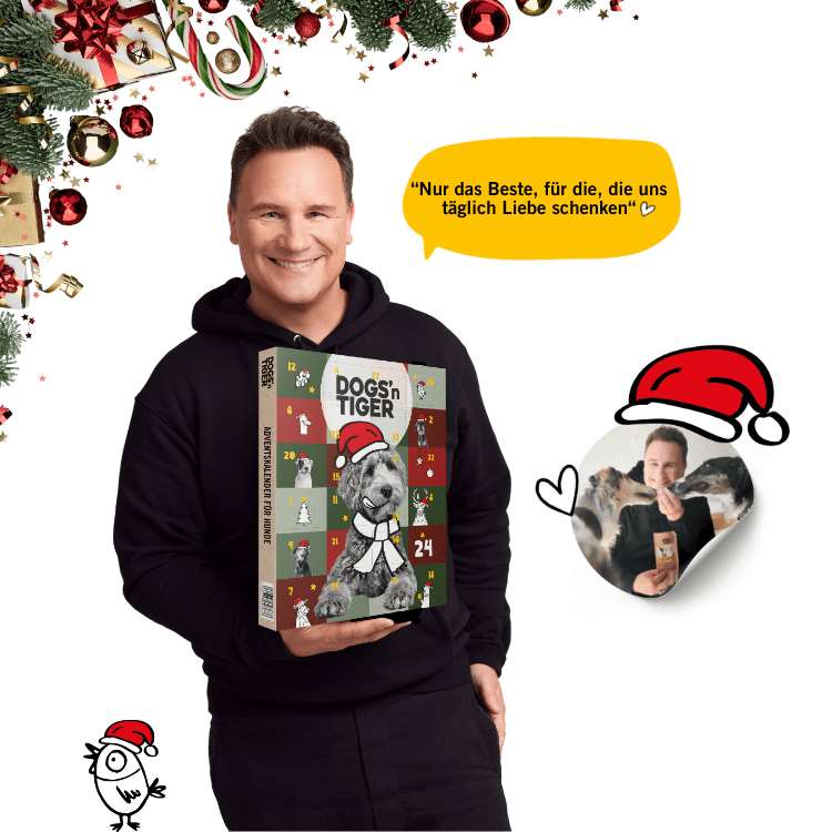 Dogs - Adventskalender 2025