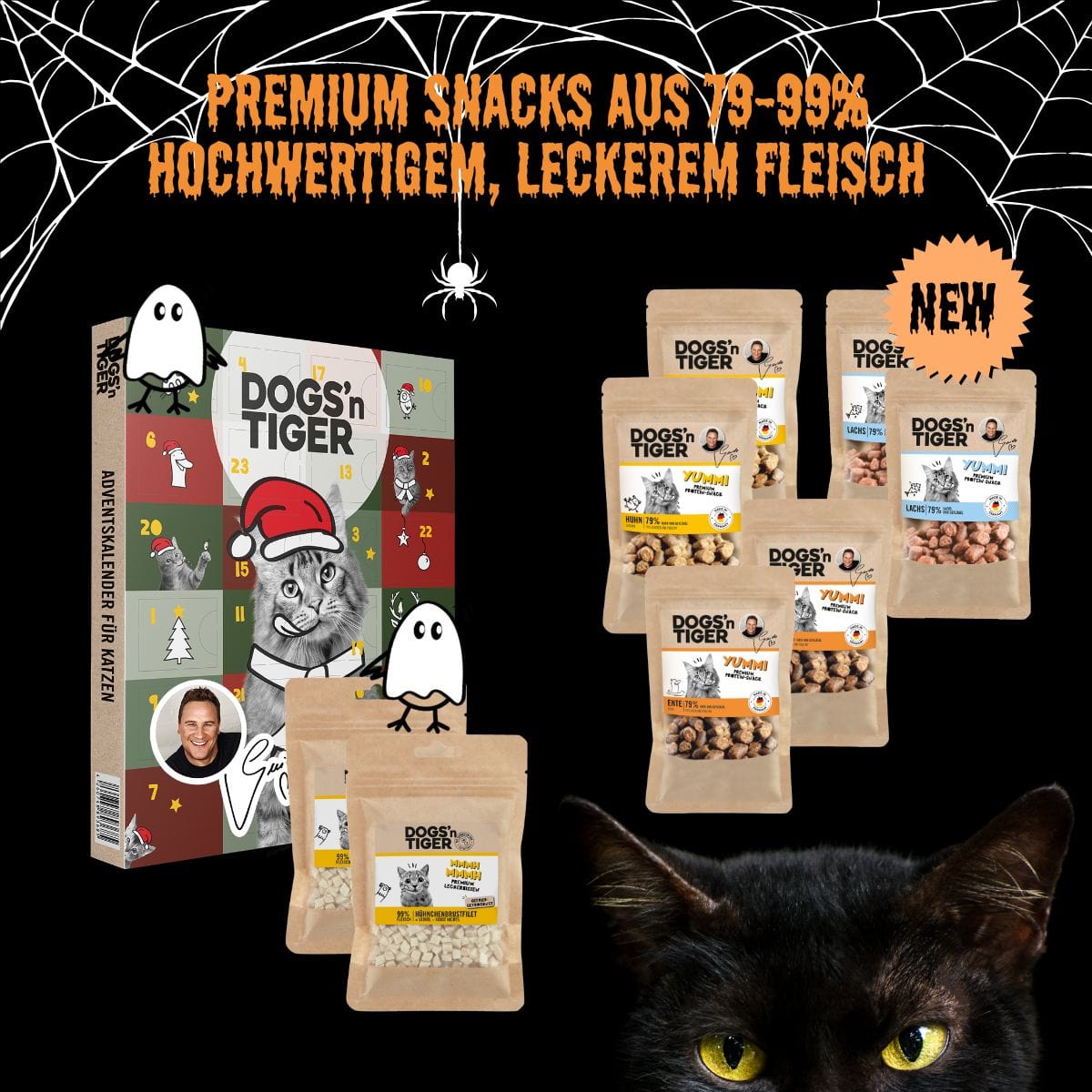 Halloween Box für Katzen