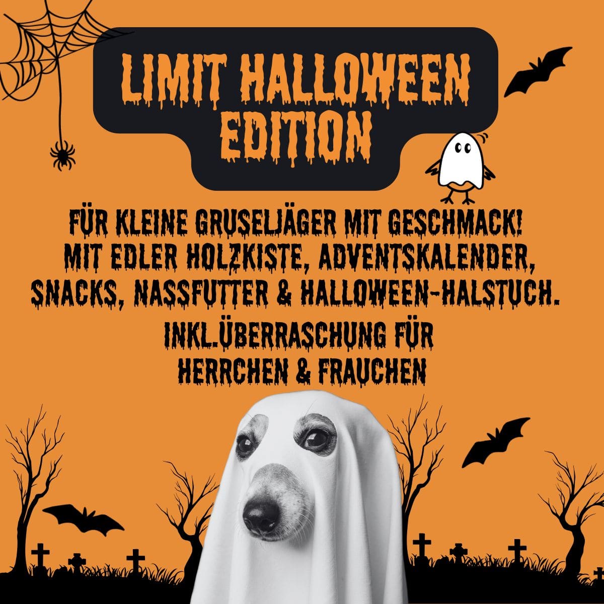 Halloween Box für Hunde