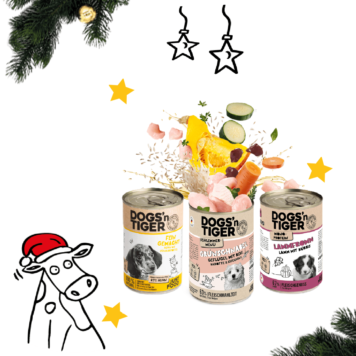 Weihnachtsbox für Welpen