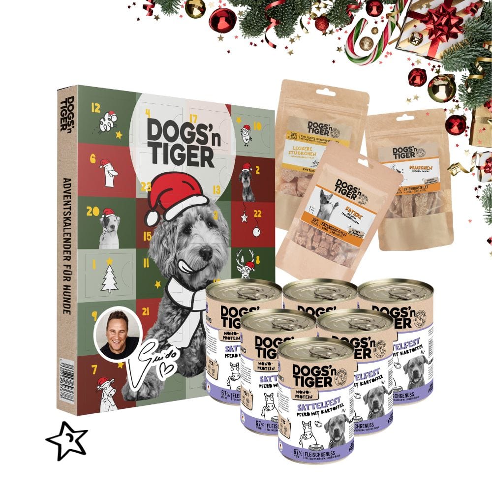 Schlemmer Weihnachtsbox für Hunde