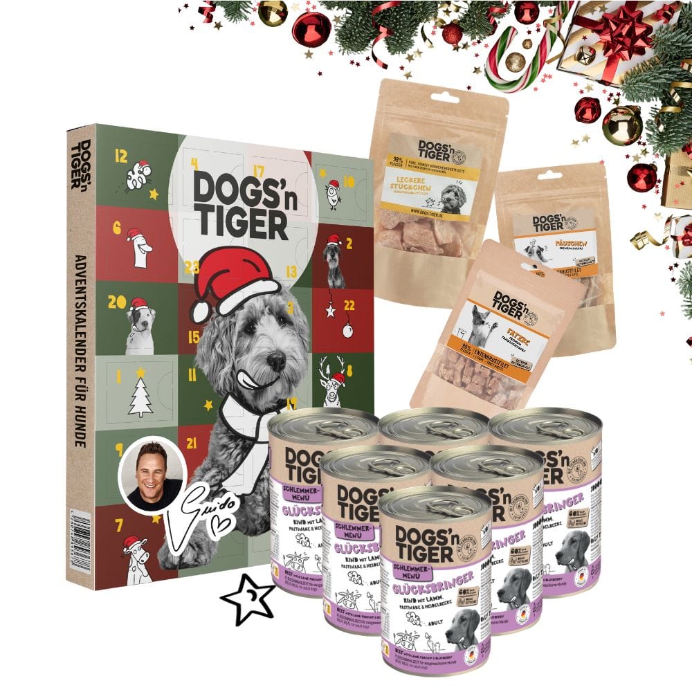 Schlemmer Weihnachtsbox für Hunde