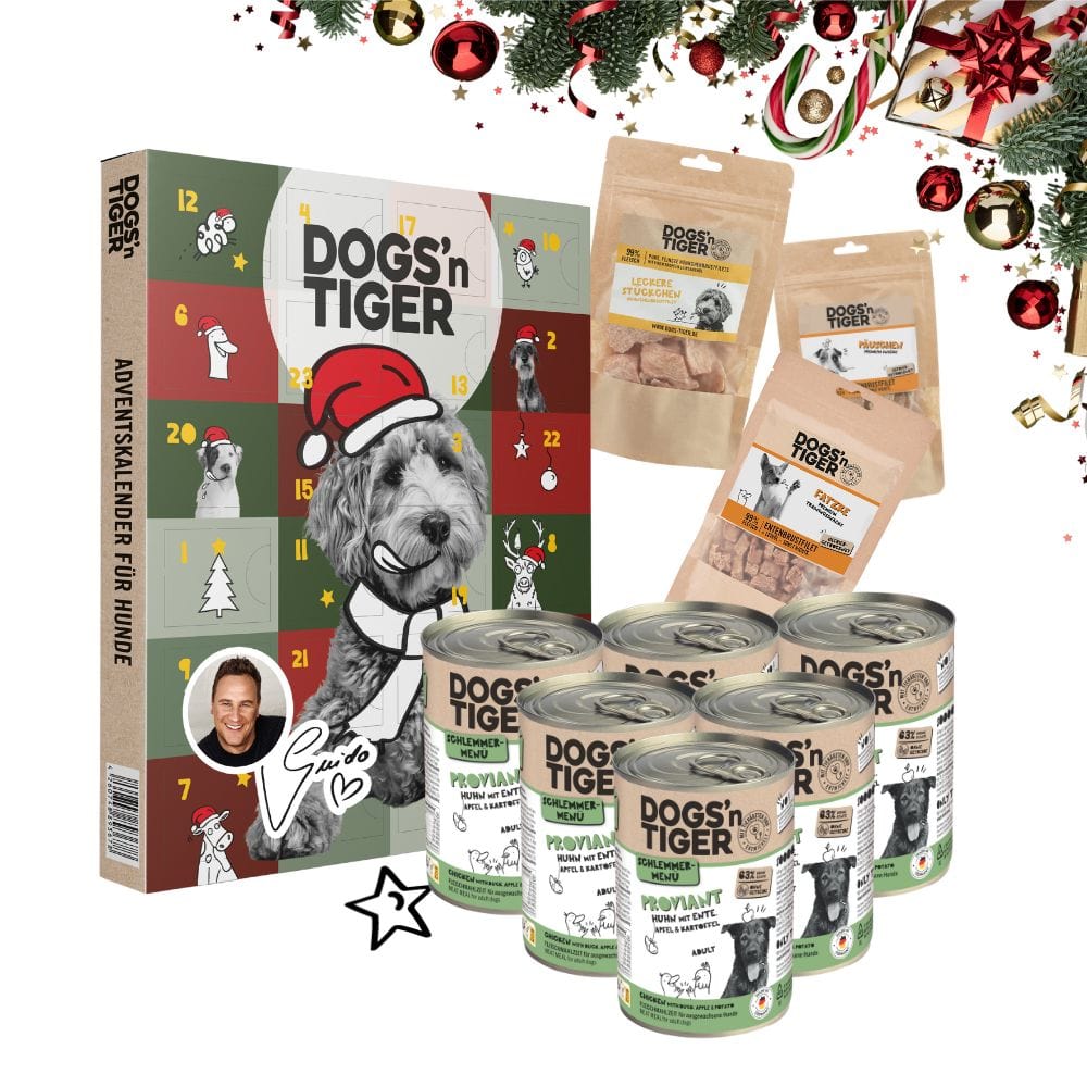 Schlemmer Weihnachtsbox für Hunde