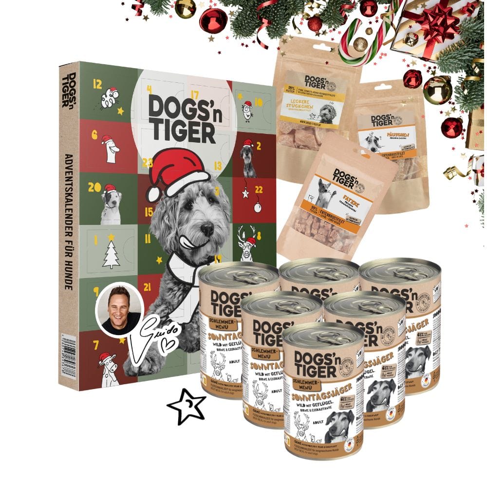 Schlemmer Weihnachtsbox für Hunde