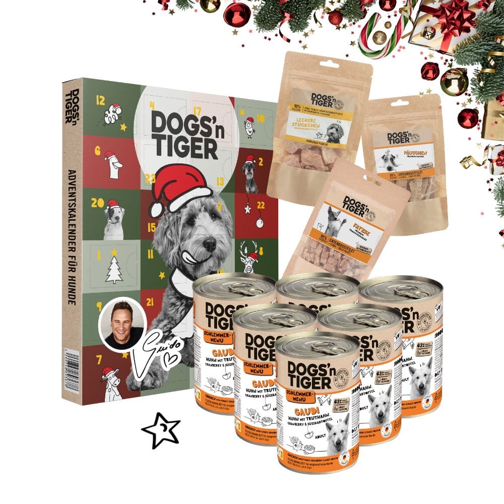 Schlemmer Weihnachtsbox für Hunde