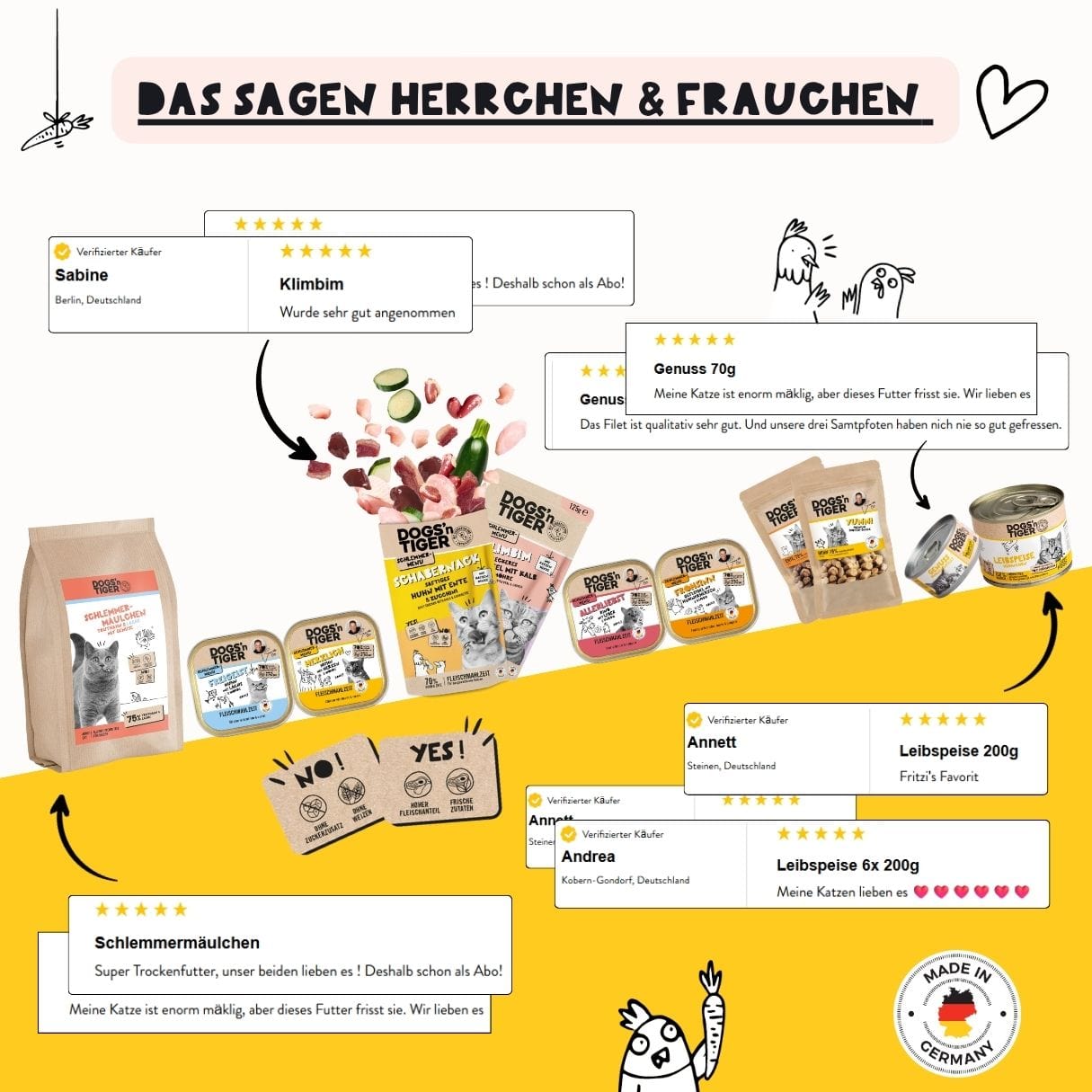 Entdecker Box für Katzen