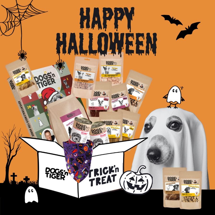 Halloween Box für Hunde