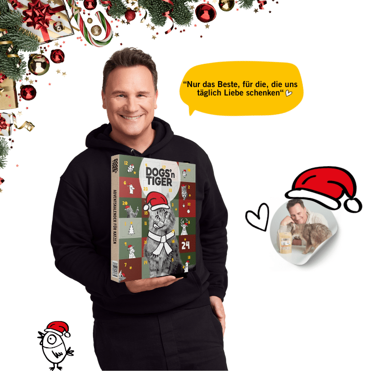 Tiger - Adventskalender 2025