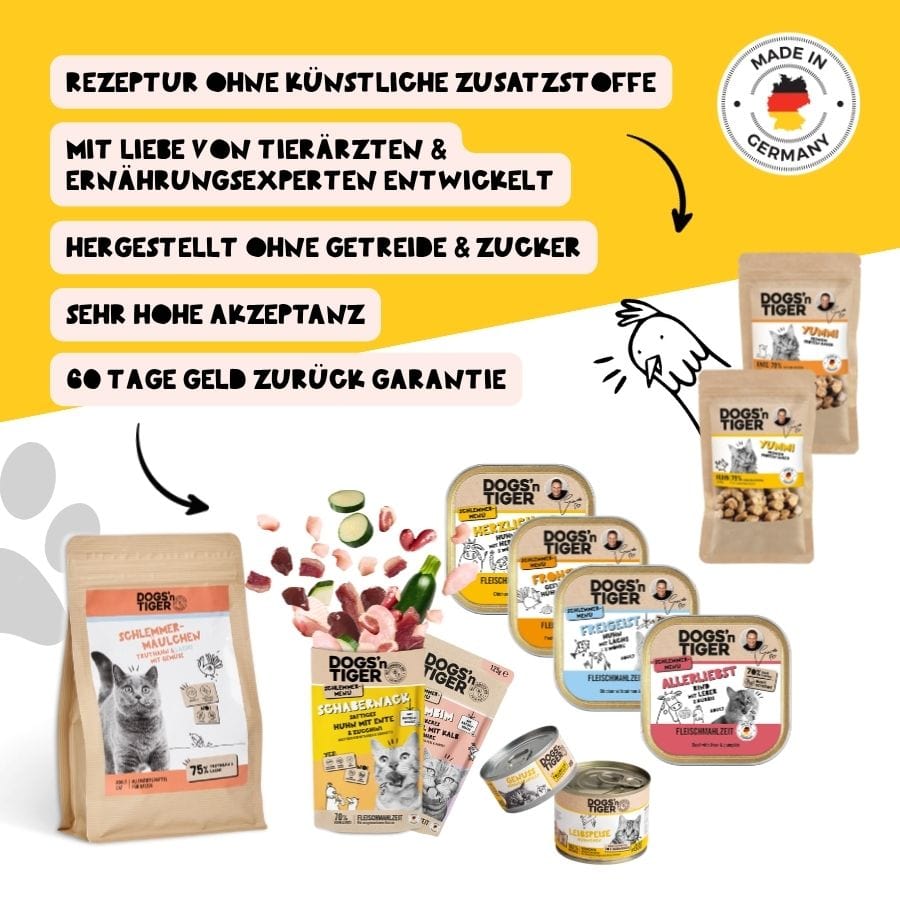 Entdecker Box für Katzen