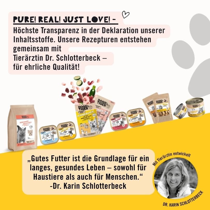 Entdecker Box für Katzen