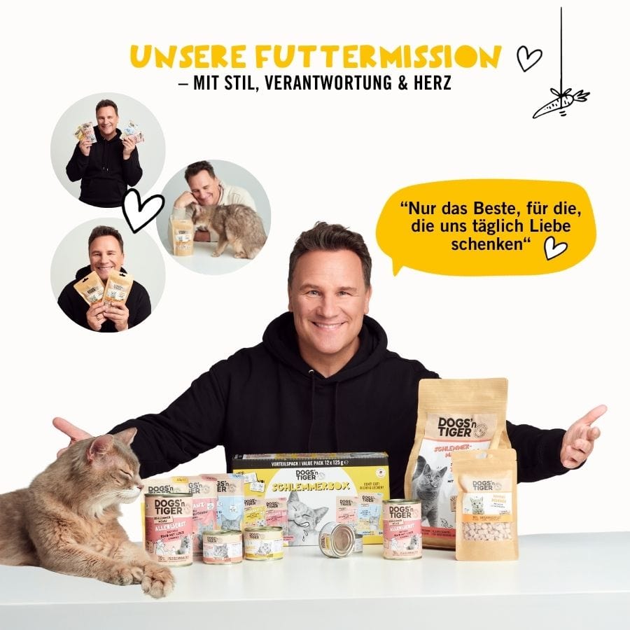 Entdecker Box für Katzen