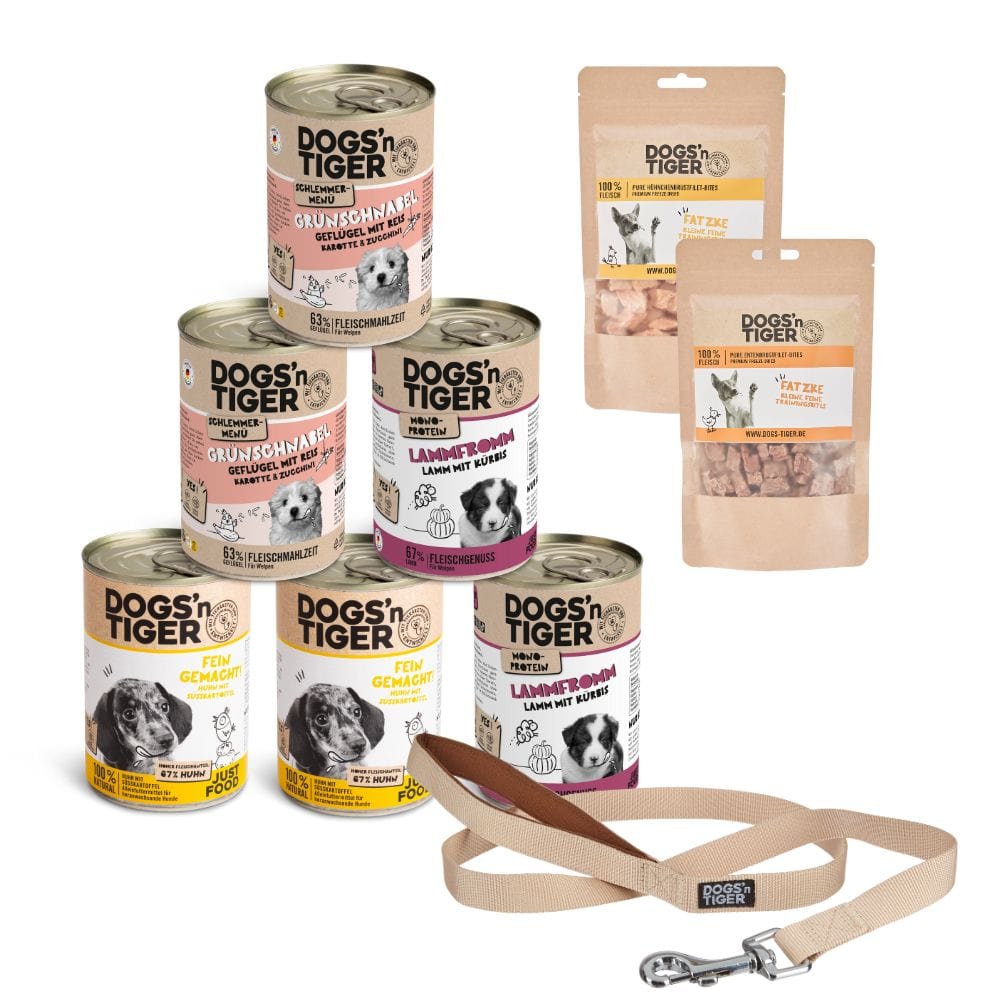 Willkommen! Welpen | Hundefutter für Welpen