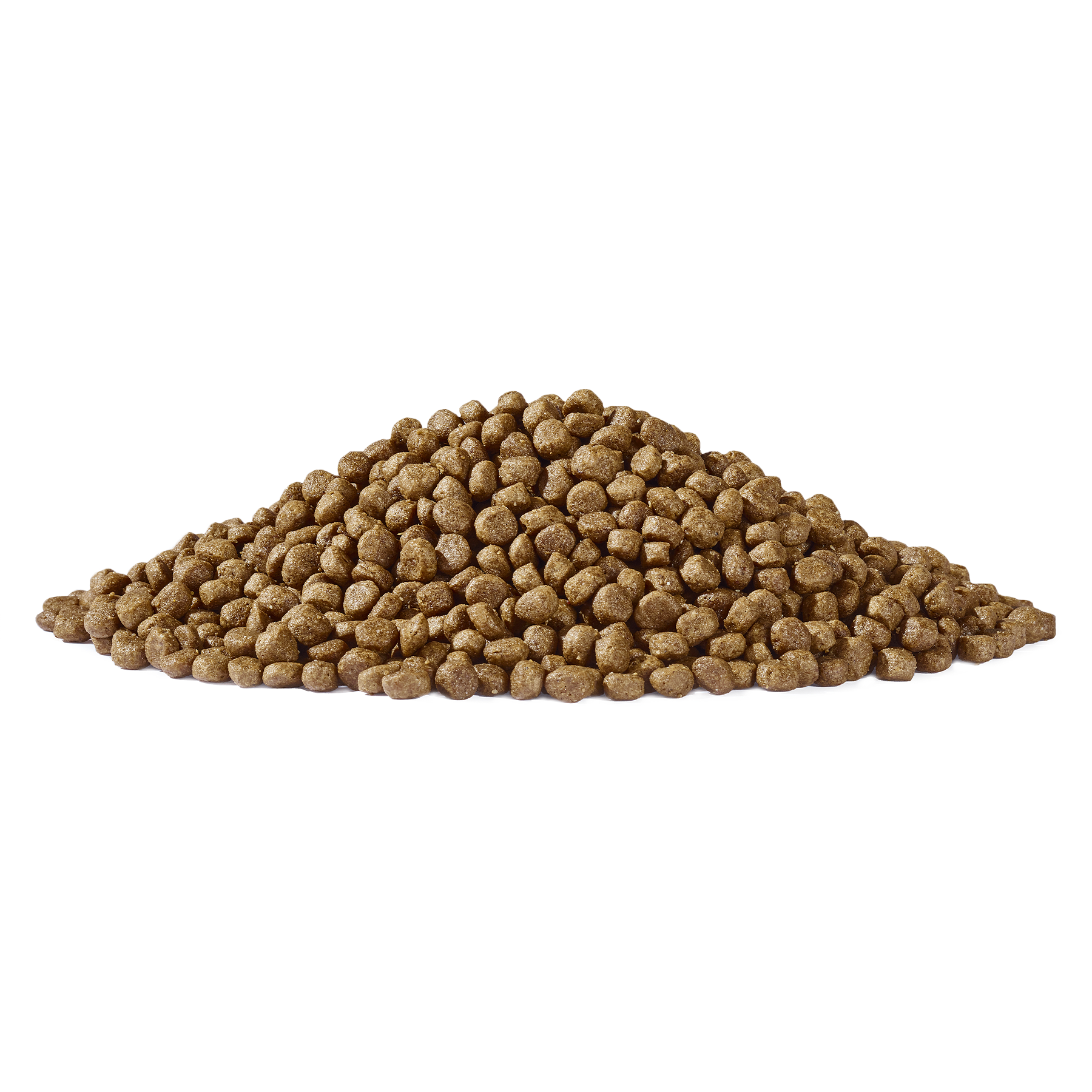 Flitzpiepe