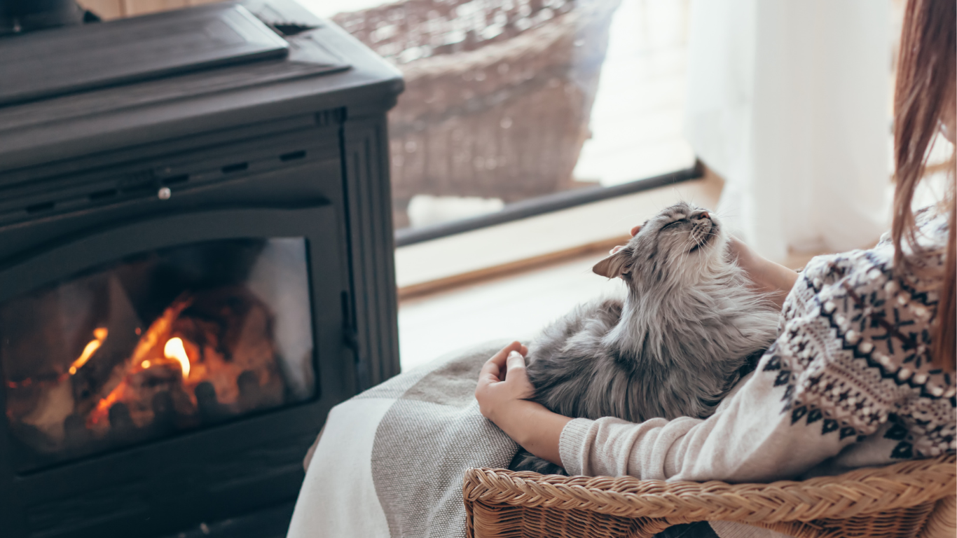 Die Sprache der Katze – Teil 4: Das Schnurren