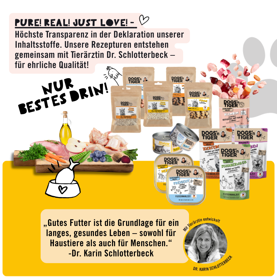 Kennenlernpaket "von allem Etwas"