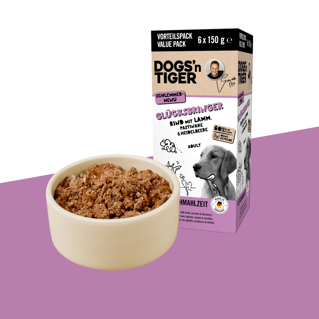 Glücksbringer Multibox