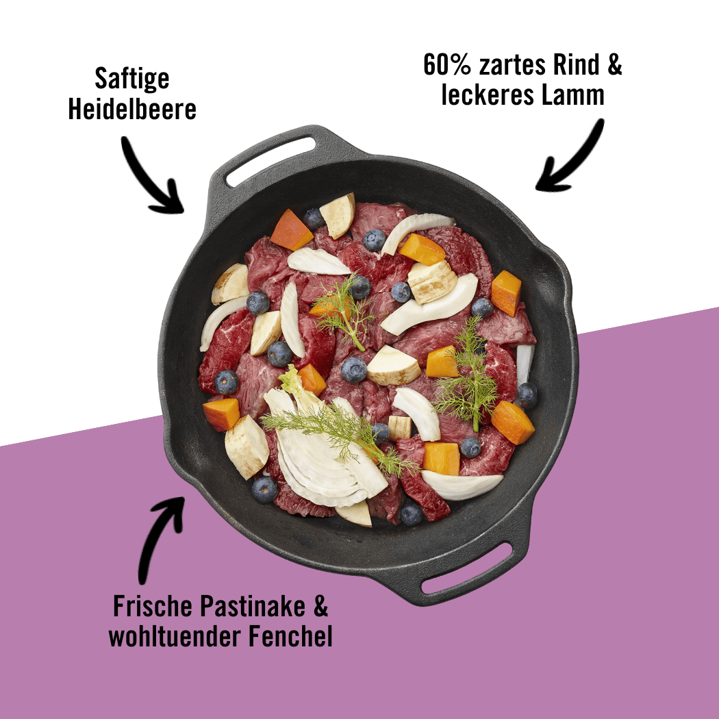 Glücksbringer Schale