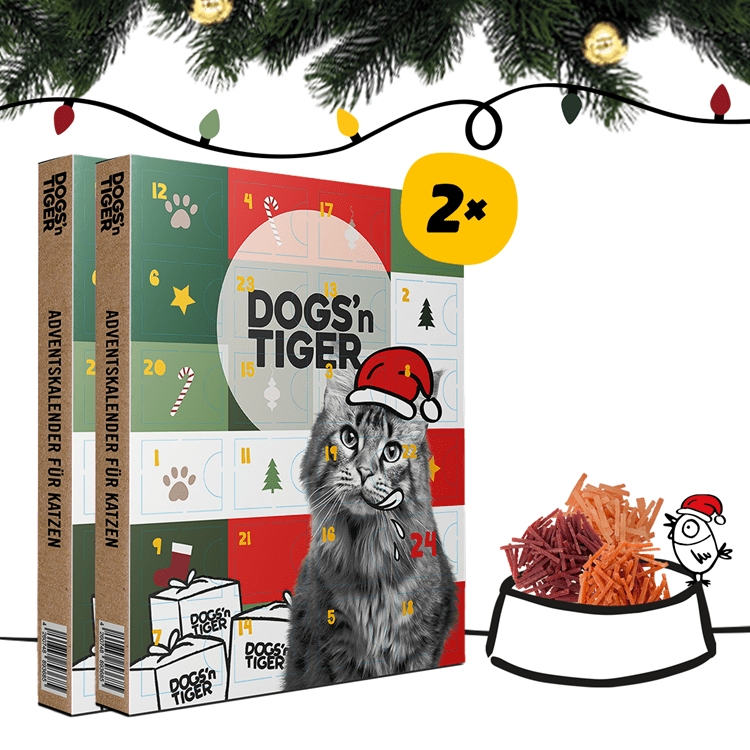 Tiger - Adventskalender 2024