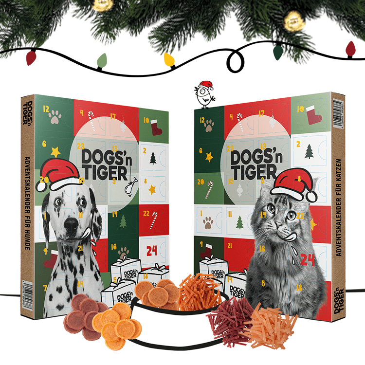 Dogs &amp; Tiger - Advent calendar 2023