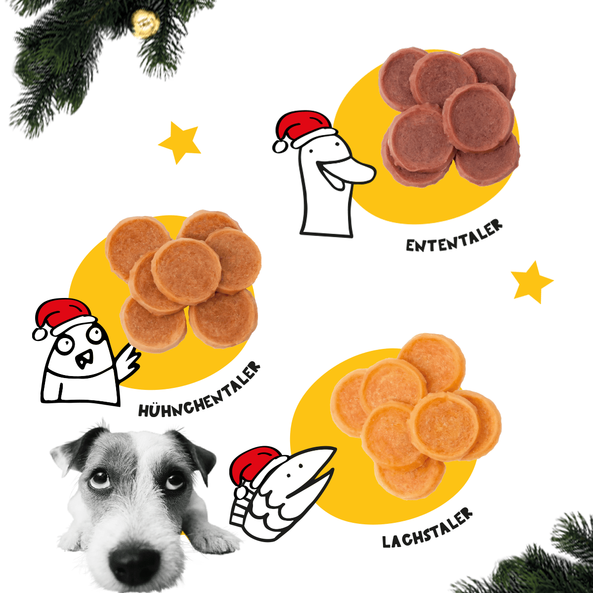 Dogs & Tiger - Adventskalender 2024