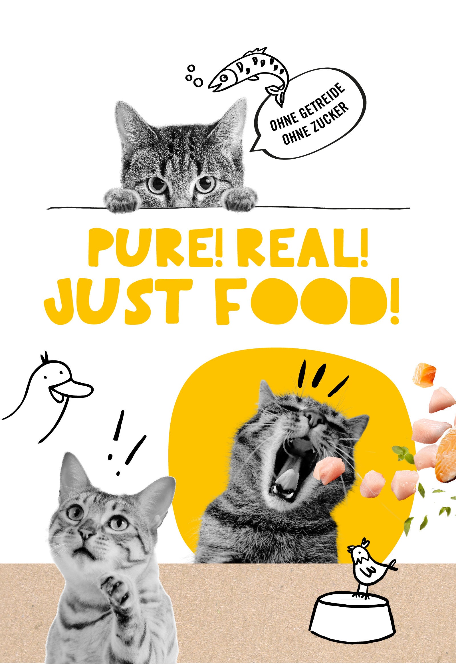 Banner Startseite Katzenfutter: Pure! Real! Just Food!