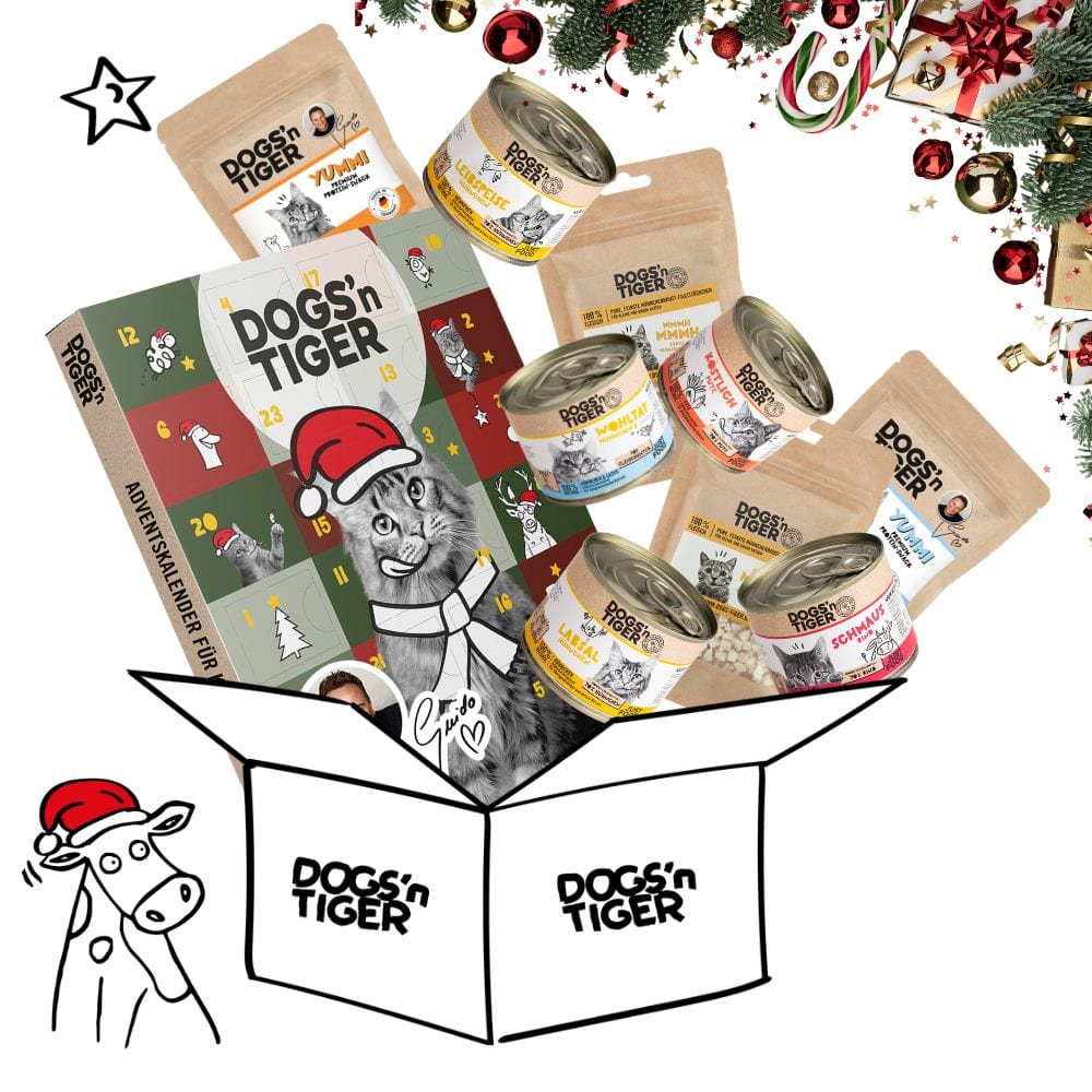 Mono Weihnachtsbox für Katzen