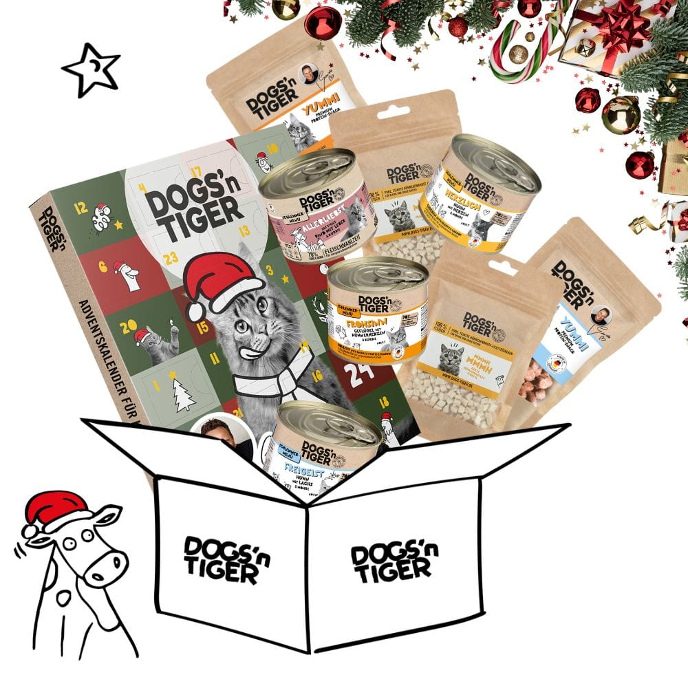 Schlemmer Weihnachtsbox für Katzen