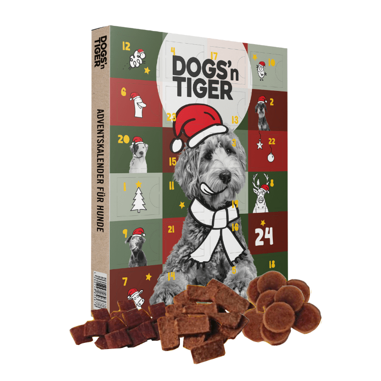 Dogs - Adventskalender 2025