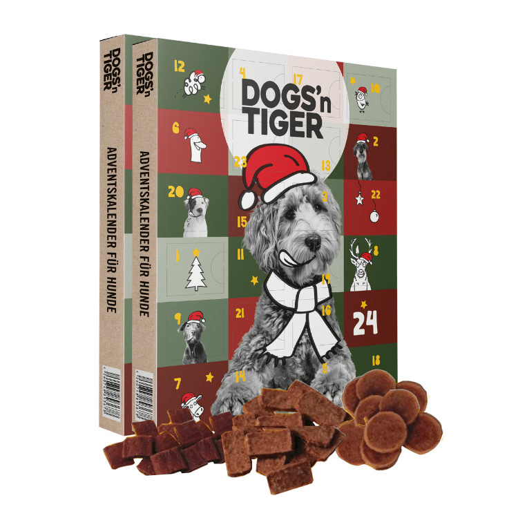 Dogs - Adventskalender 2025