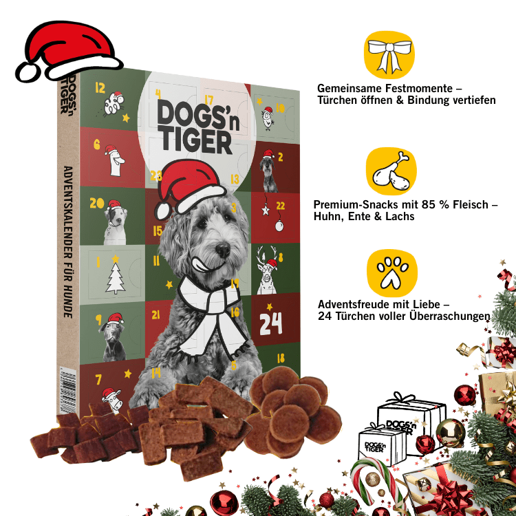 Dogs - Adventskalender 2025