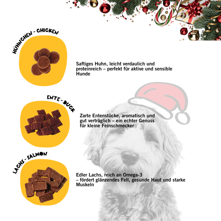Dogs - Adventskalender 2025