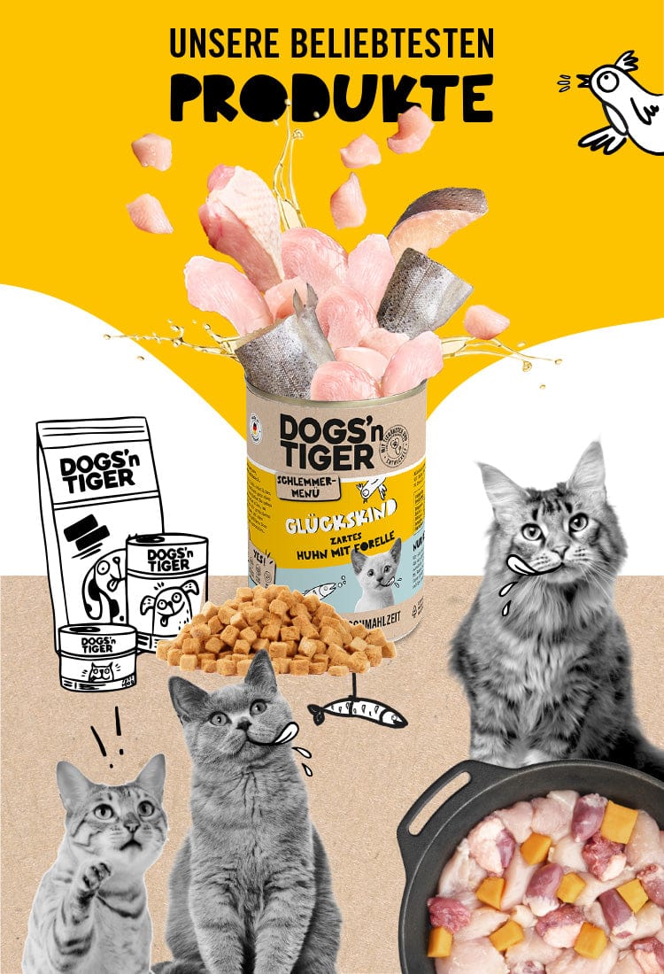 Buy cat food bestsellers Dogs n Tigers
