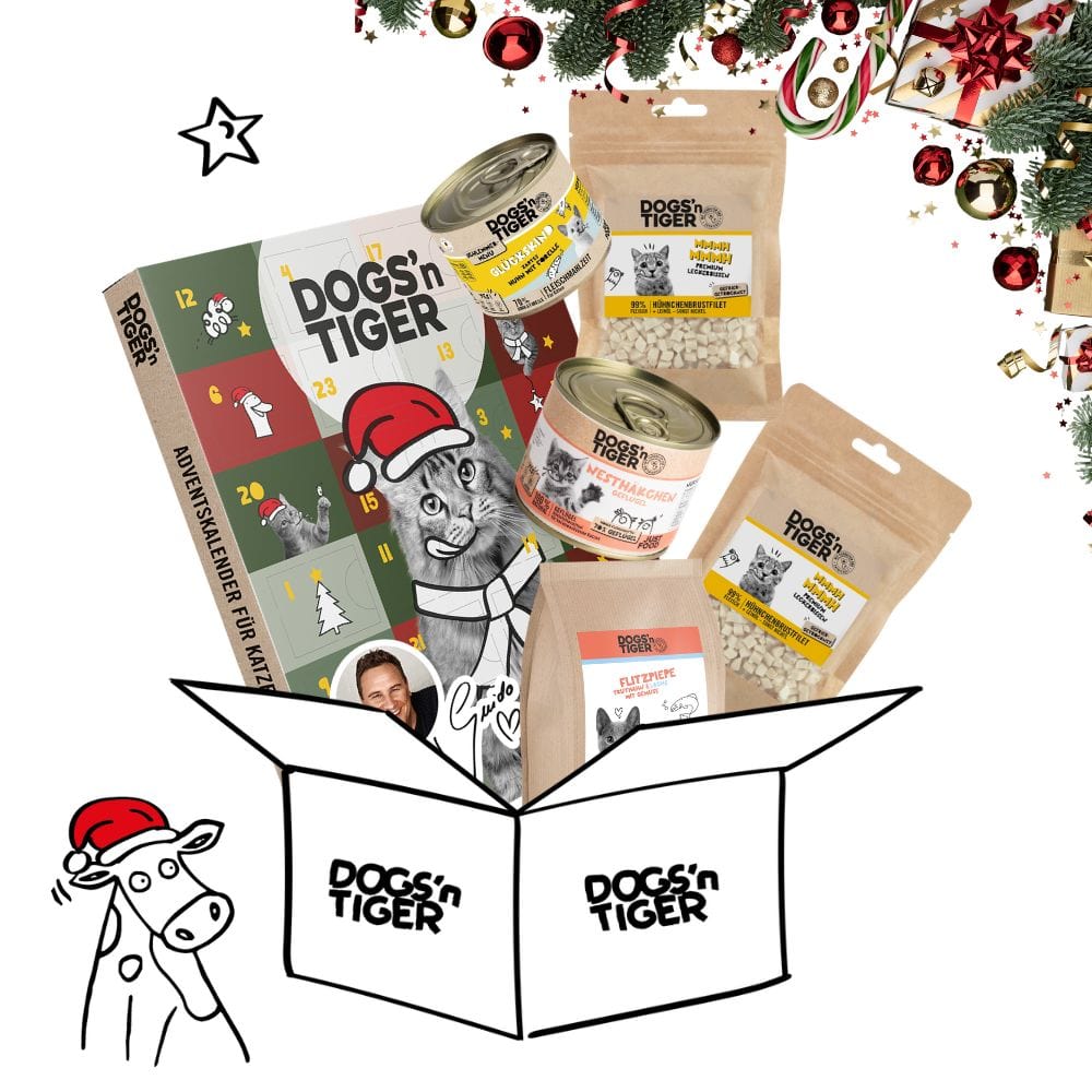 Weihnachtsbox für Kitten