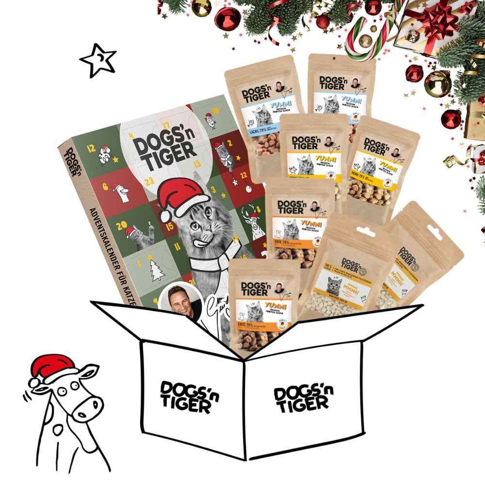 Weihnachts Snack Box für Katzen