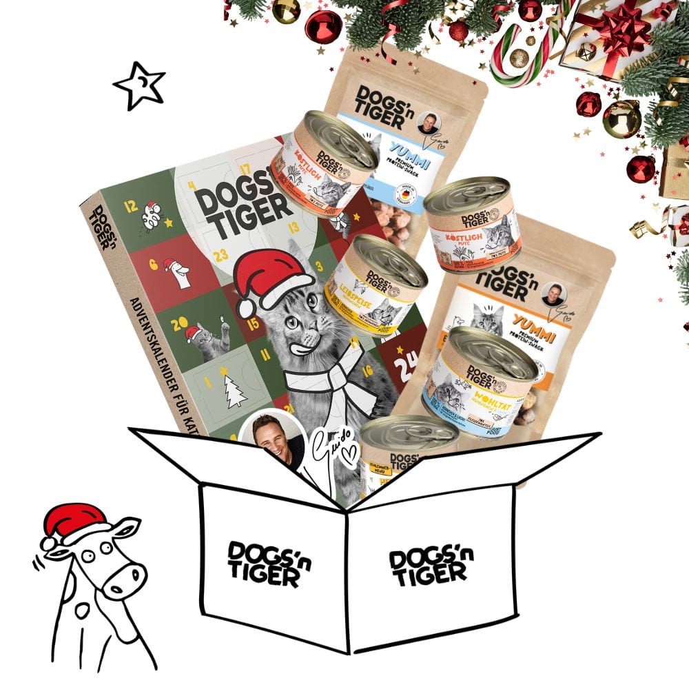 Weihnachtsbox für Katzen