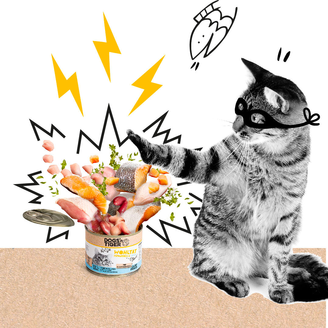 Superhelden-Katze zaubert mit ihrer Pfote leckeres Futter in die Dose