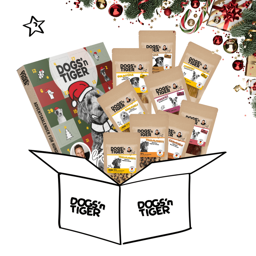 Weihnachts Snack Box für Hunde