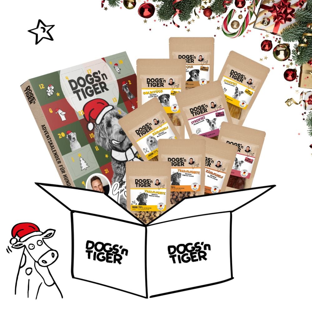 Weihnachts Snack Box für Hunde