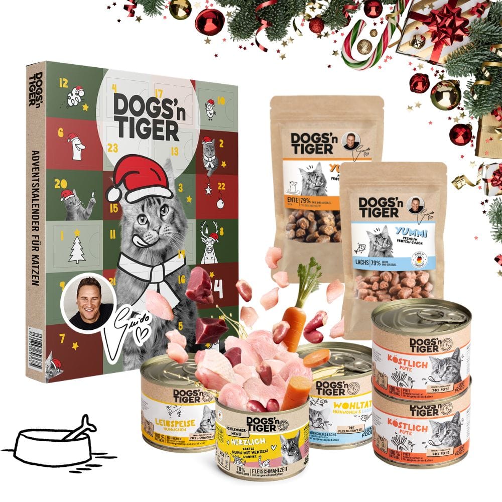 Weihnachtsbox für Katzen
