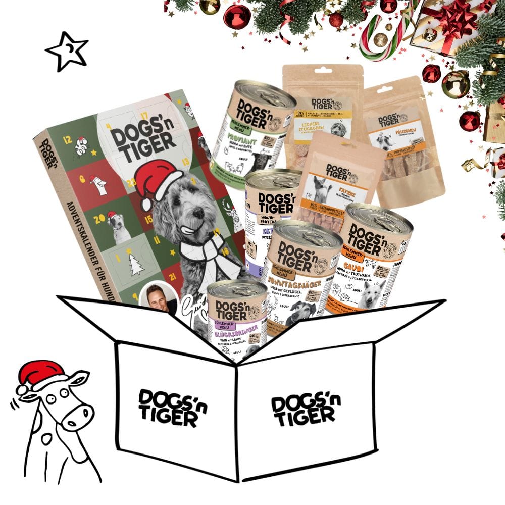 Schlemmer Weihnachtsbox für Hunde