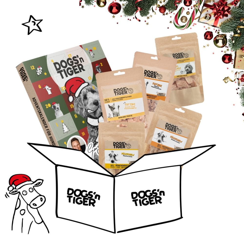 Adventskalender Classic Snack Box für Hunde