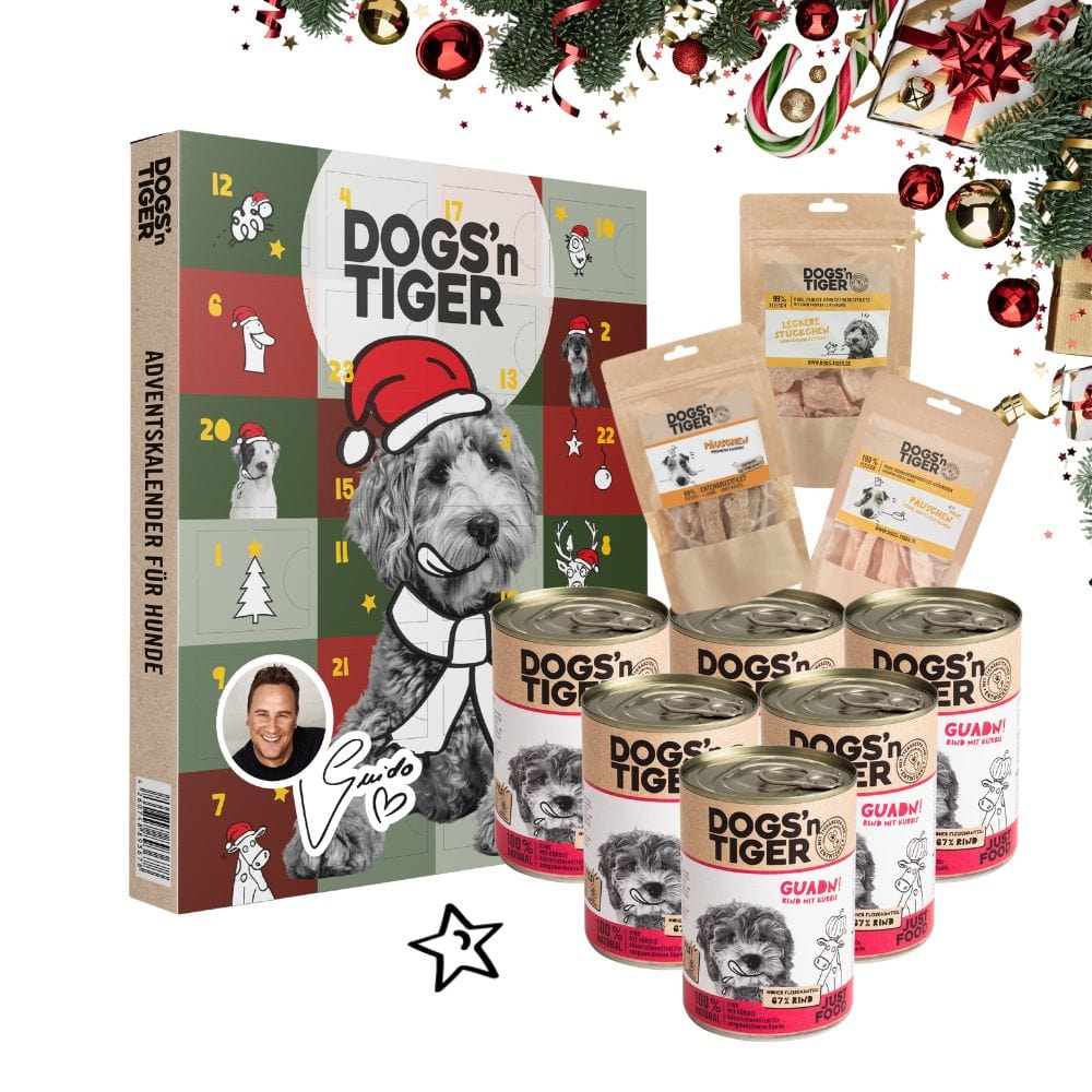 Weihnachtsbox für Hunde